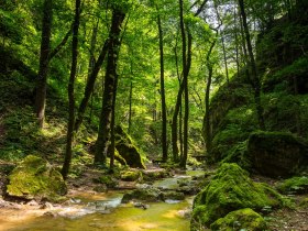 Johannesbachklamm Würflach, © Wiener Alpen in Niederösterreich - Schneeberg Hohe Wand