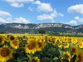 Hohe Wand Naturpark, © Naturpark Hohe Wand