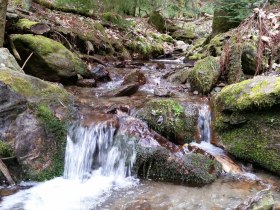 Wandern in Warth | Bucklige Welt, © Wiener Alpen in Niederösterreich - Bad Schönau