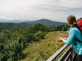 Ausblick Wiener Wallfahrerweg, © Mostviertel Tourismus / schwarz-koenig.at