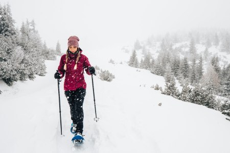 Schneeschuhwandern auf der Rax, © Niederösterreich-Werbung/Bokrová