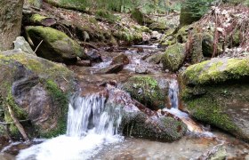 Wandern in Warth | Bucklige Welt, © Wiener Alpen in Niederösterreich - Bad Schönau