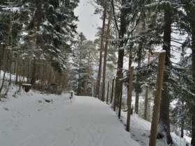 Spaziergang durch den Naturpark, © Marktgemeinde Schwarzau