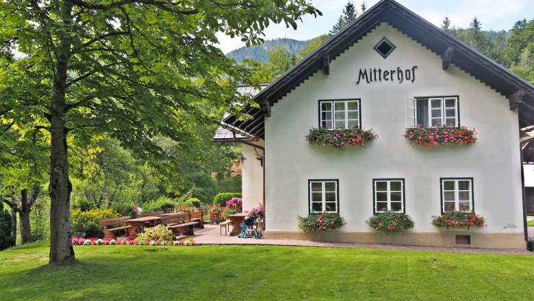 Bauernhof Mitterhof, © Mitterhof