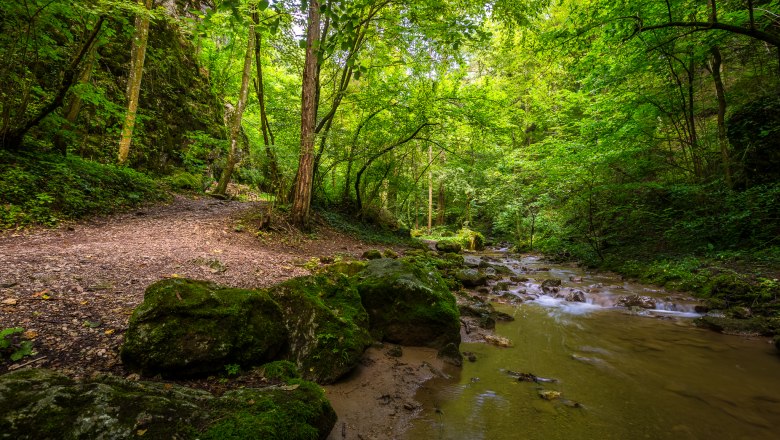 Johannesbachklamm, © Wiener Alpen/Christian Kremsl