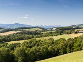 Baumgartnereck Kirchschlag, © Wiener Alpen in Niederösterreich