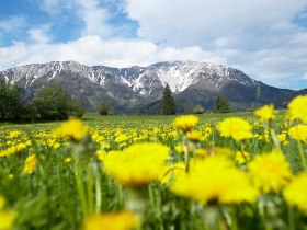 Blick auf den Schneeberg, © ©Wiener Alpen, Foto: Franz Zwickl