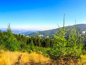 Saurücken Wechsel, © ©Wiener Alpen, Foto: Christian Kremsl