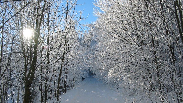 Naturpark Hohe Wand, © Naturpark Hohe Wand