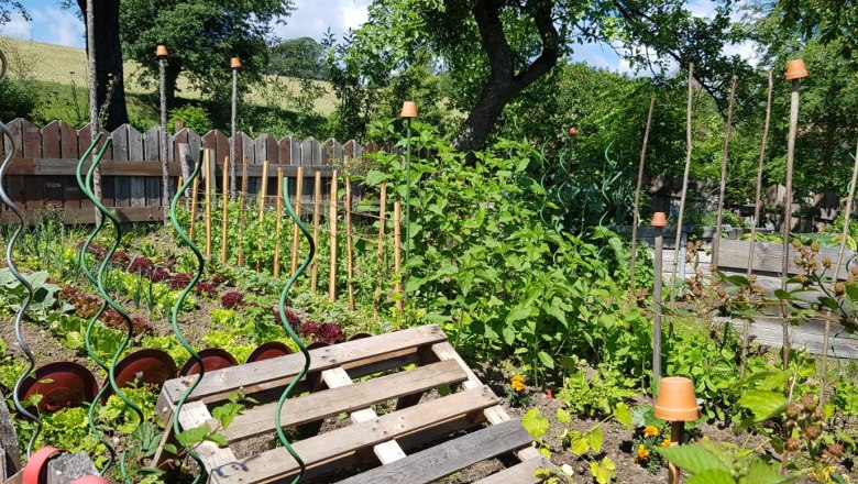 Gemüseanbau im Bauerngarten, © Andrea Lechner