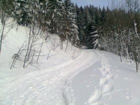 Schneeschuhwandern auf den Faden am Schneeberg, © Wiener Alpen in Niederösterreich - Schneeberg Hohe Wand