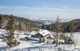 Blick auf die Mönichkirchner Schwaig, © Wiener Alpen, Erlebnisalm Mönichkirchen, Martin Fülöp