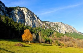 Blick auf die Hohe Wand, © ©POV, Foto Robert Herbst