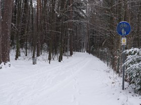 Waldweg vom Schloss in den Ort, © Stadtgemeinde Gloggnitz