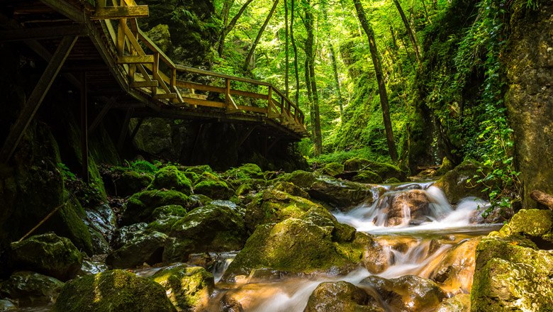 Die Johannesbach-Klamm, © Wiener Alpen, Christian Kremsl