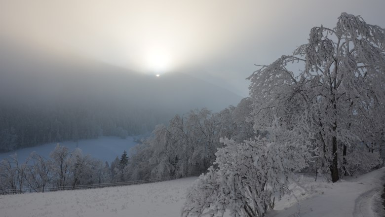 Raach im Winter, © Gemeinde Raach