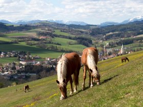 Lindenhof Krumbach, © Wiener Alpen in Niederösterreich