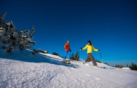 Schneeschuhwandern, © ©Wiener Alpen, Foto: Claudia Ziegler