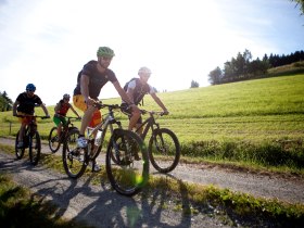 Mountainbiken in den Wiener Alpen, © ©Wiener Alpen, Foto: Thomas Bartl