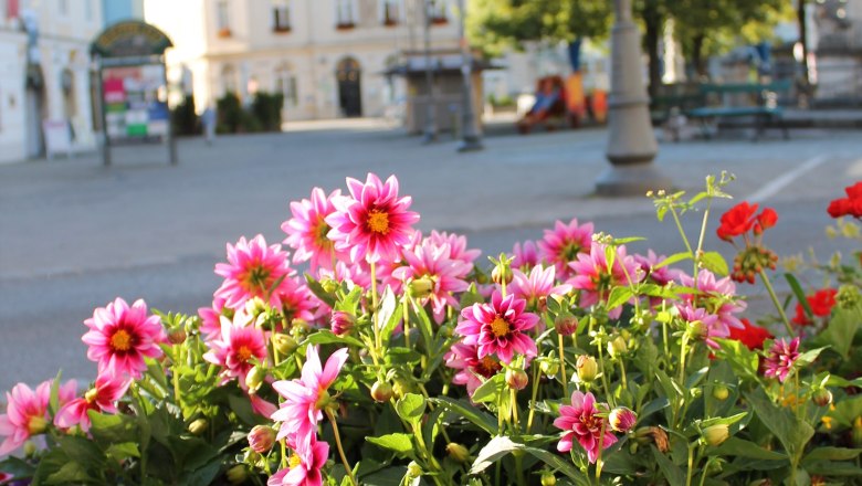 Hauptplatz, © Stadtgemeinde Neunkirchen