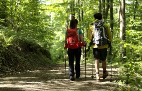 Wanderung zum Kummerbauerstadl, © Wiener Alpen in Niederösterreich - Wechsel