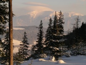 Landschaft, © Wiener Alpen in Niederösterreich - Semmering Rax