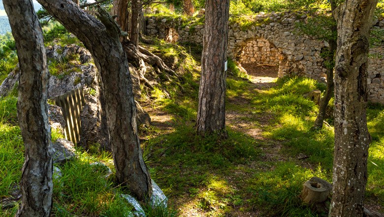 Ruine Schrattenbach, © Wiener Alpen, Christian Kremsl