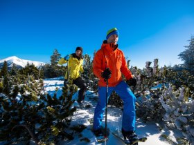 Schneeschuwandern auf der Rax, © ©Wiener Alpen, Foto: Claudia Ziegler