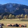 Schneeberg, © Angelika Burger