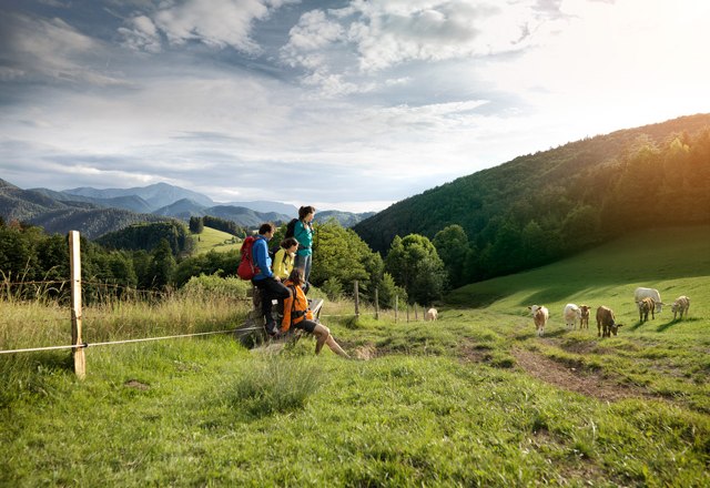 Hiking in the Piestingtal, © Wiener Alpen/Florian Lierzer