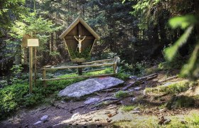 Kampsteiner Schwaig - Antrittstein, © Wiener Alpen, Christian Kremsl