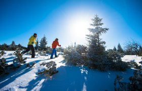 Schneeschuwandern, © ©Wiener Alpen, Foto: Claudia Ziegler