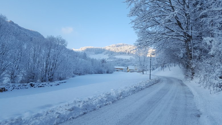 Zufahrt zum Hof - Schrattenbach, © Gruber Claudia