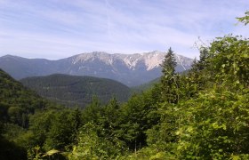 Blick von der Kaiserbenwiese zum Schneeberg, © Wiener Alpen in Niederösterreich - Schneeberg Hohe Wand