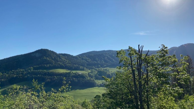 Aussicht vom Haus, © Wiener Alpen