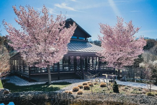 Frühlingserwachen im  Hotel &amp; Spa Linsberg Asia, © Linsberg Asia