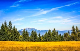 Blick von der Kamsteiner Schwaig zum Schneeberg bis zur Hohen Wand, © Wiener Alpen, Christian Kremsl