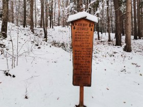 Ich bin der Wald, © Wiener Alpen in Niederösterreich - Wechsel