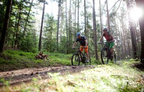 Mountainbiken in den Wiener Alpen, © ©Wiener Alpen, Foto: Thomas Bartl