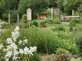 Lebensraum für Bienen und Insekten, © Wiener Alpen in Niederösterreich - Wechsel