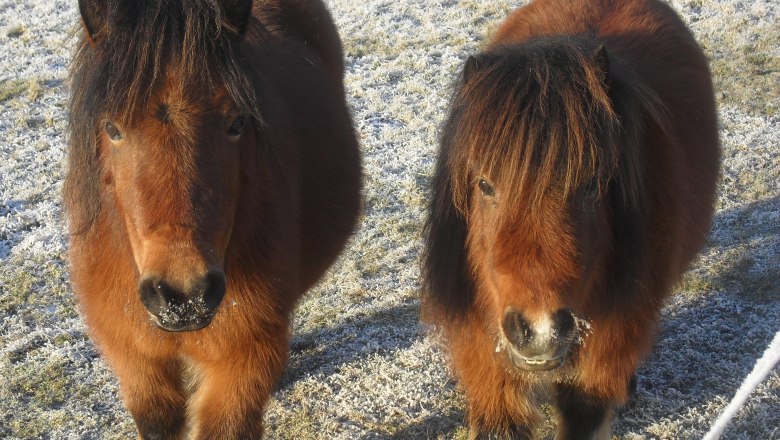 flora und fiona, © rosinger