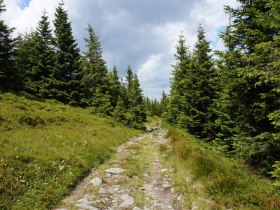 alpannonia - Regionale Route Trattenbach - Kranichberger Schwaig, © Wiener Alpen in Niederösterreich - Alpannonia