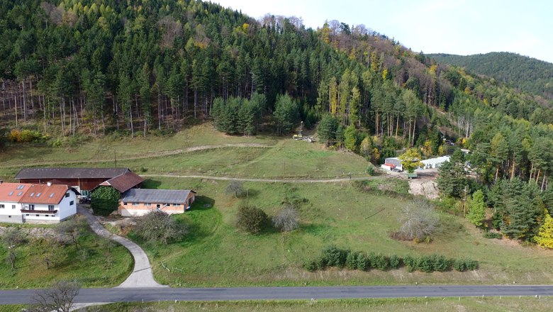 Prigglitz-Gasteil. The drill at the wood’s edge is on a Bronze Age slag heap, © Landessammlungen Niederösterreich, UF-22692.895