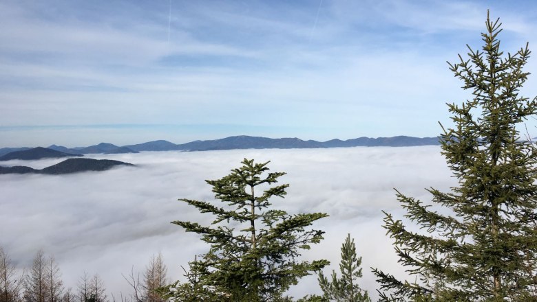 Blick ins Nebelmeer, © Naturpark Hohe Wand