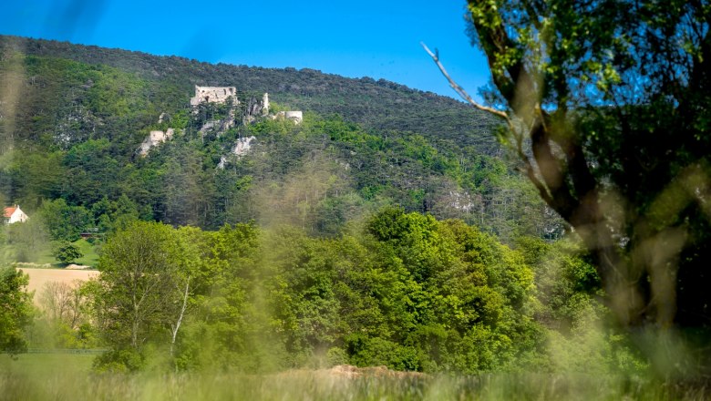 Die Burgruine Emmerberg zwischen Winzendorf und Muthmannsdorf, © Wiener Alpen/Kremsl