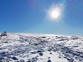 Winterwanderung auf den Arabichl, © Wiener Alpen in Niederösterreich