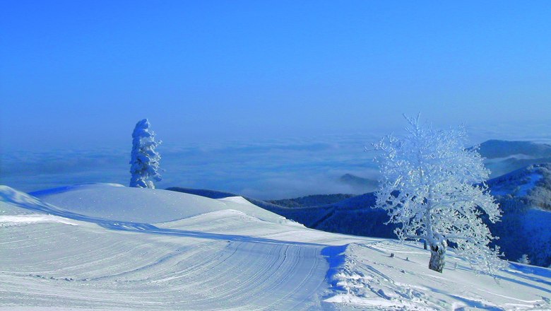 Skiing area Unterberg, © ARGE Schigebiet Unterberg