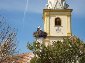 WAB - Regionale Route B: Krumbach - Maria Schnee, © Wiener Alpen in Niederösterreich