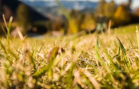 Herbstliche Wanderung, © Wiener Alpen in Niederösterreich - Wechsel