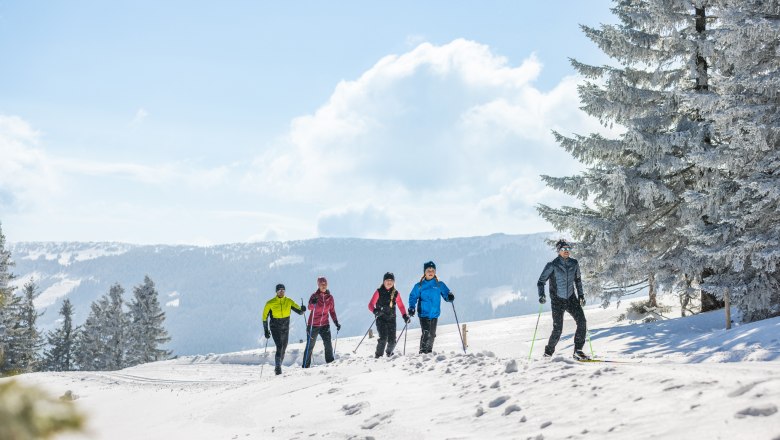 60 km lang ist die Wechsel-Panoramaloipe, © L&amp;WSV Fülöp